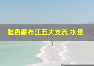 雅鲁藏布江五大支流 水量